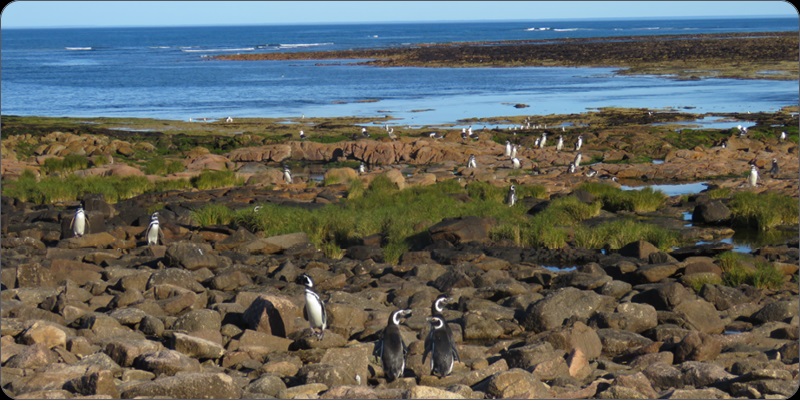 dia de los oceanos argentina